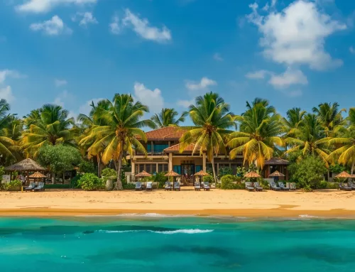 Que faire au Sénégal ? Les 10 incontournables de votre séjour